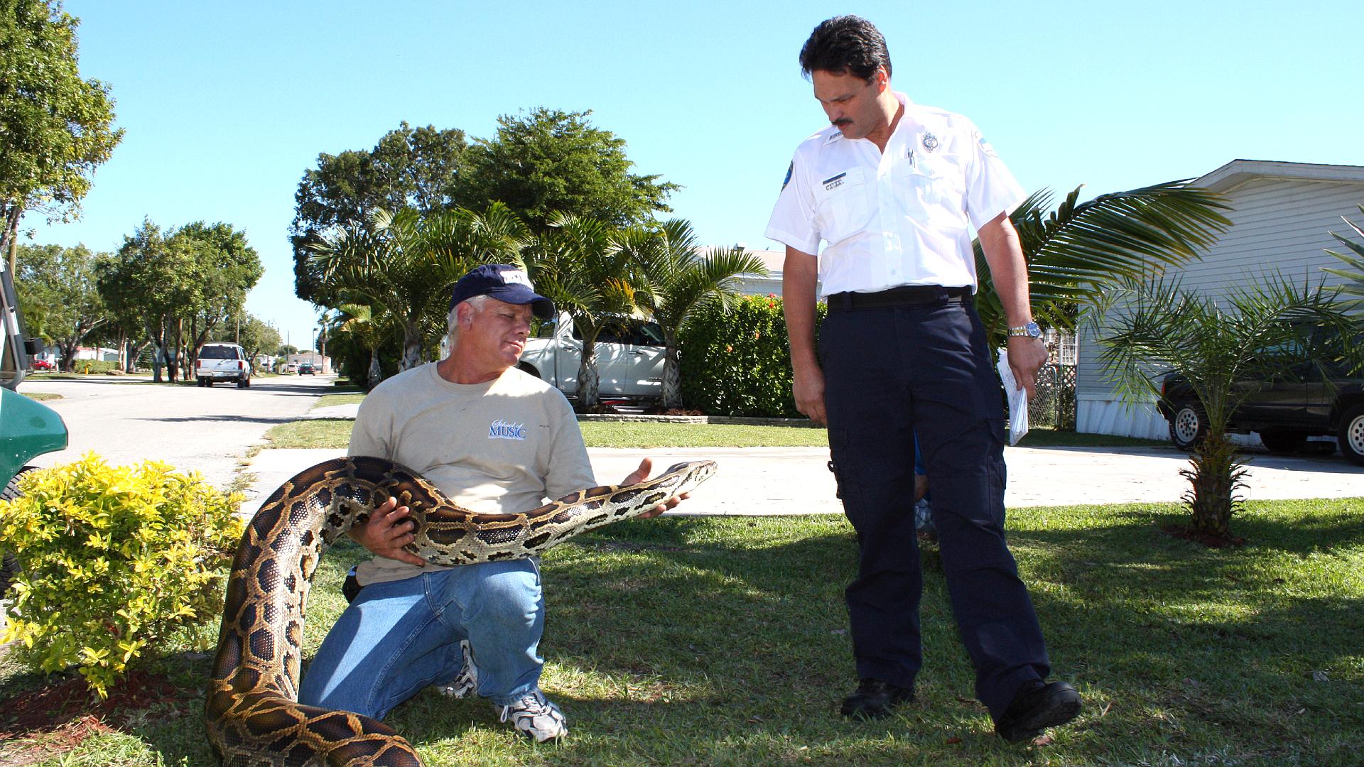Policja dla zwierząt w Miami