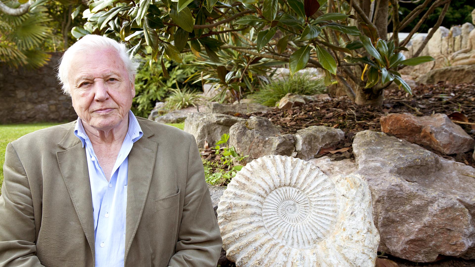 David Attenborough i cuda natury 3