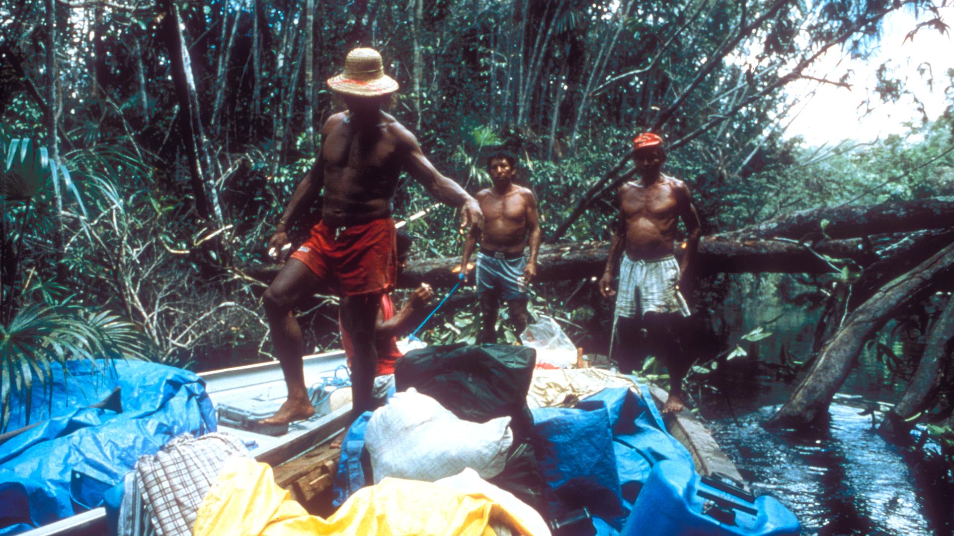 Amazonia