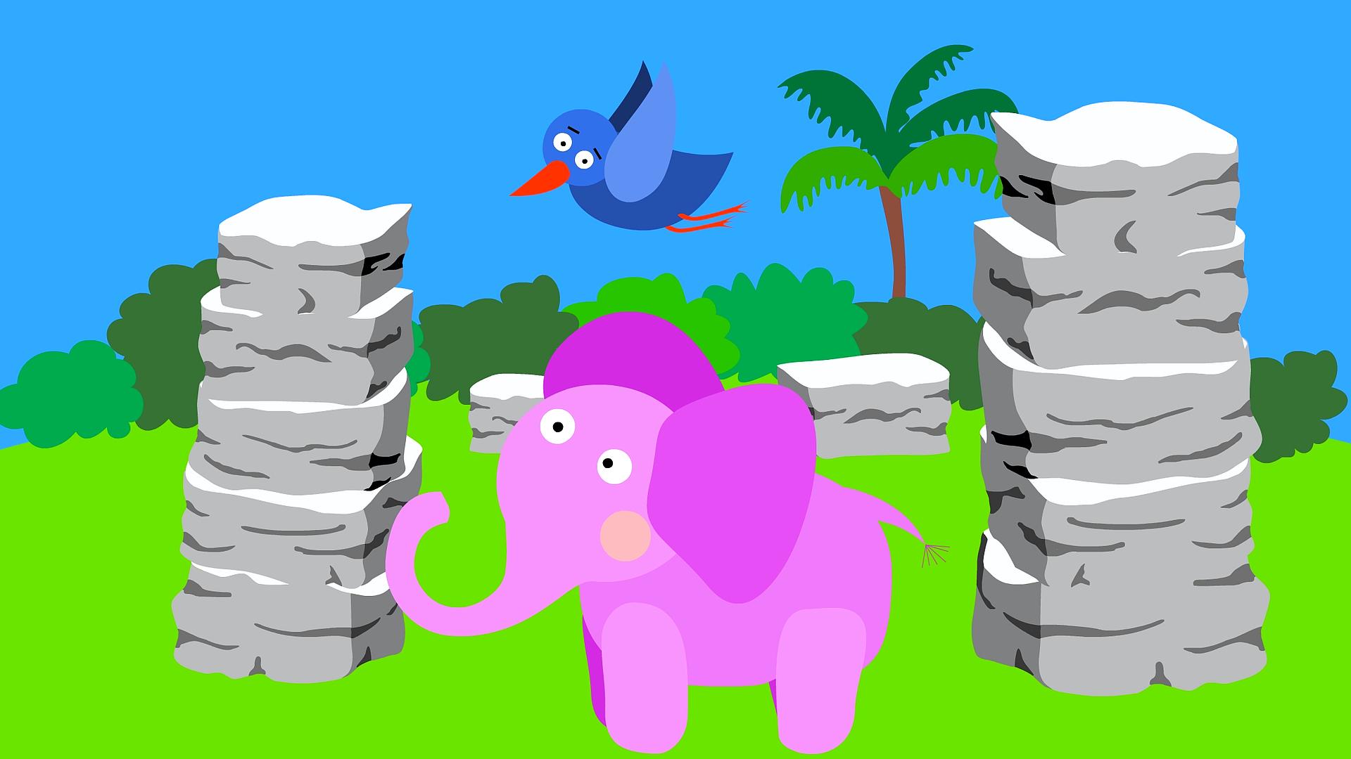 Safari