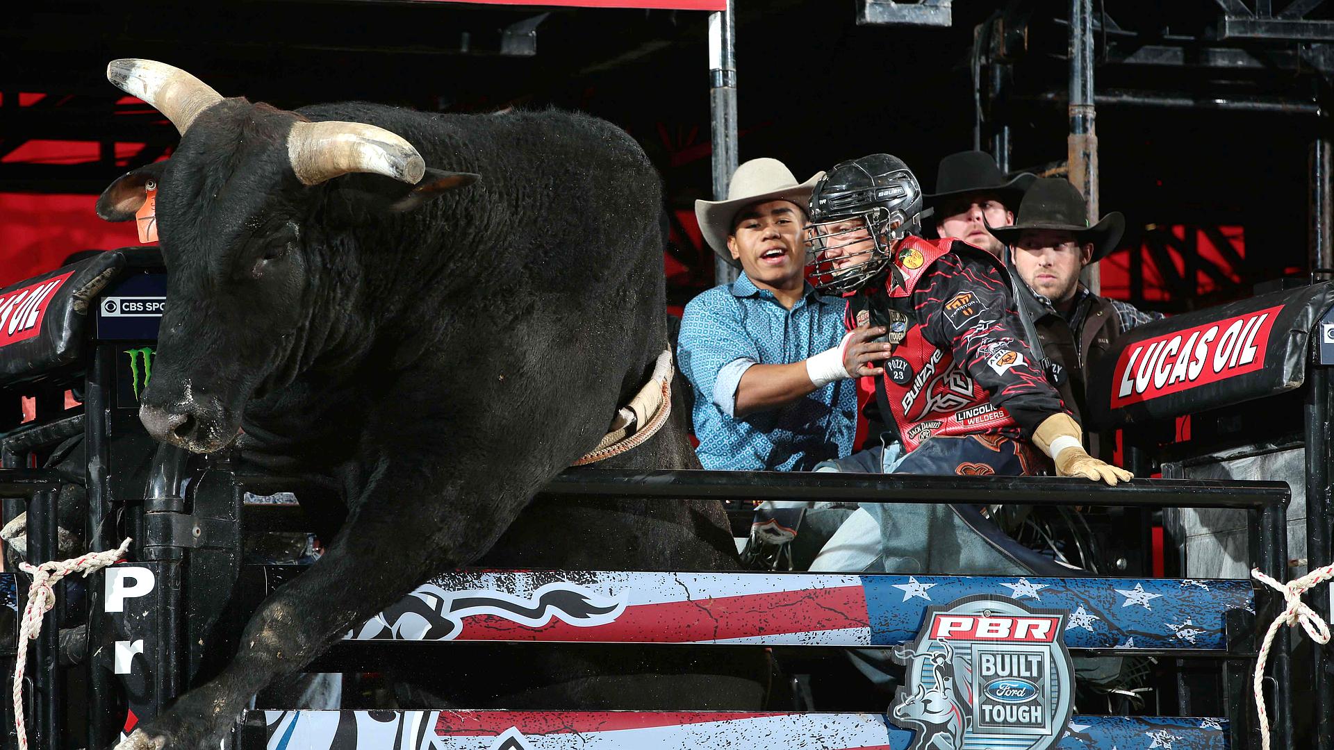 Pro Bull Riders 2