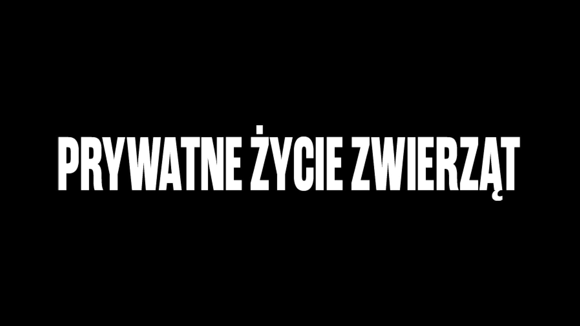 Prywatne życie zwierząt