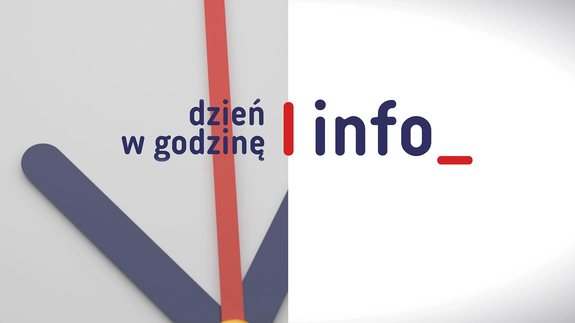 Dzień w godzinę