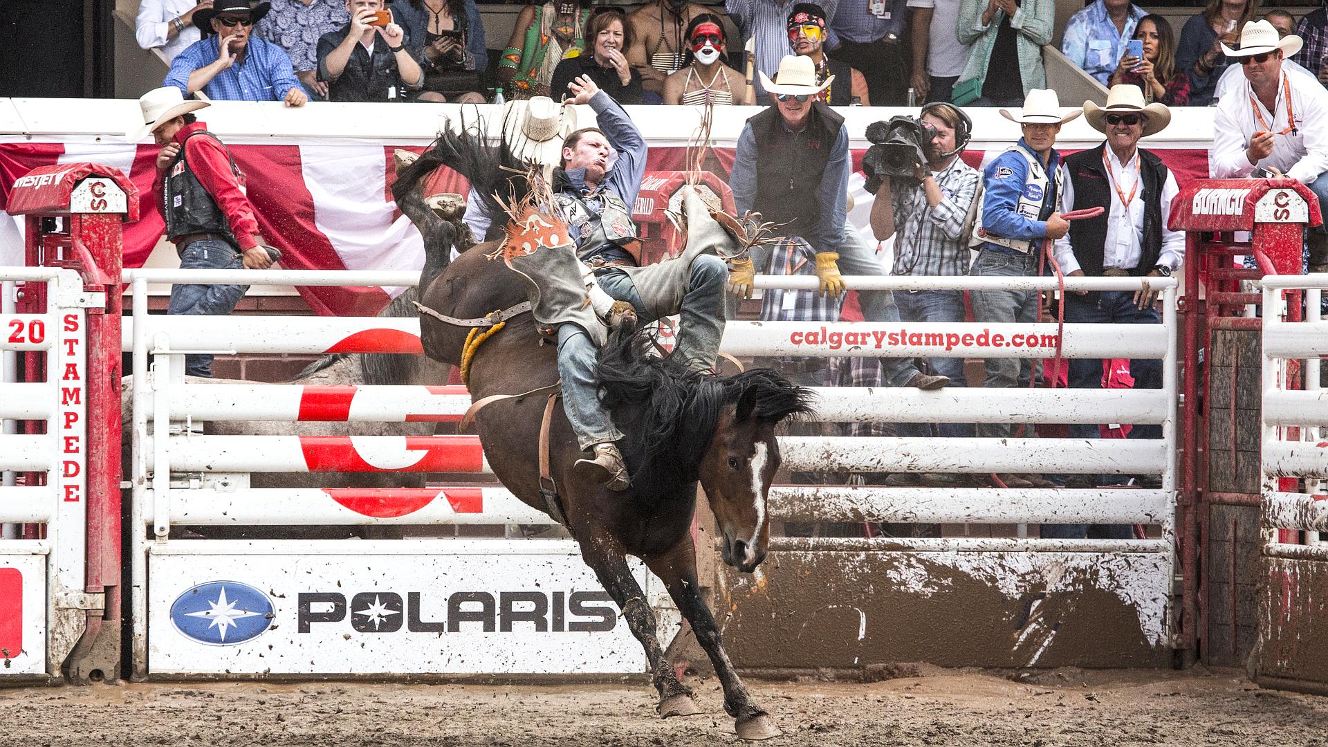 Yvan Jayne. Francuski mistrz rodeo