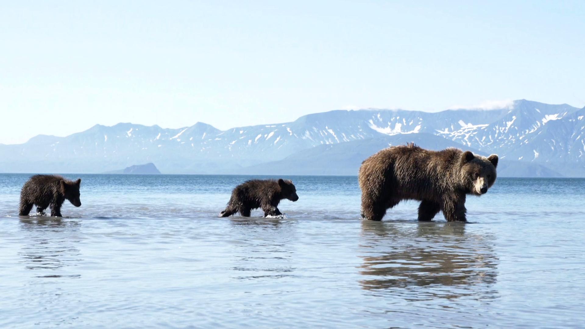 Igrając ze śmiercią. Alaska - życie na krawędzi