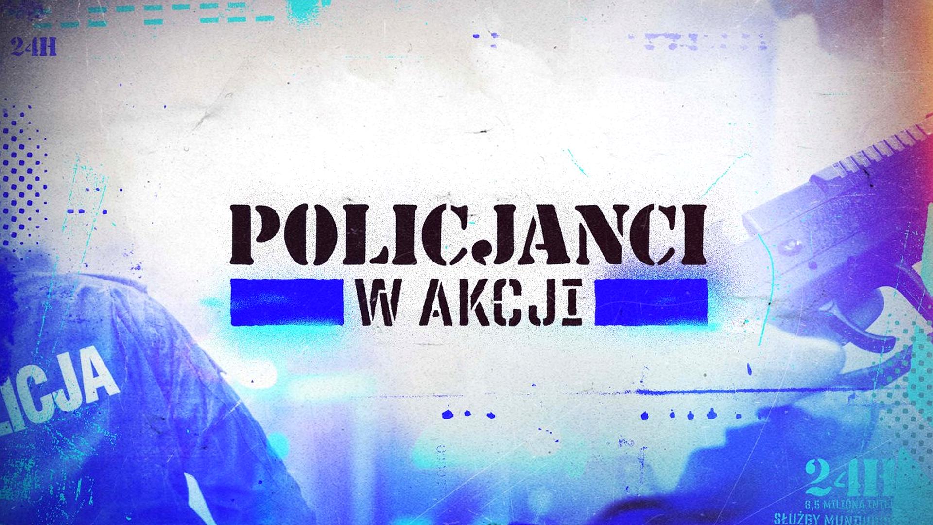 Policjanci w akcji 2