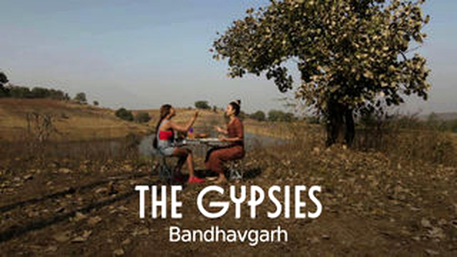 The Gypsies