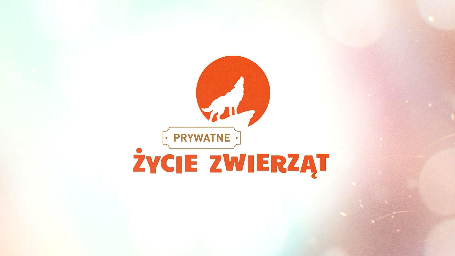 Prywatne życie zwierząt 15