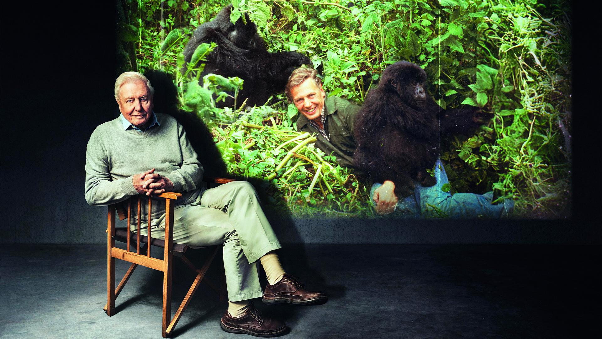 David Attenborough: początek wielkiej przygody